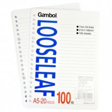 渡边(Gambol) A5，20孔夹，100页活页