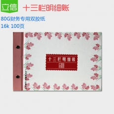 立信 16K广财十三栏明细账 十三栏分类账本，10