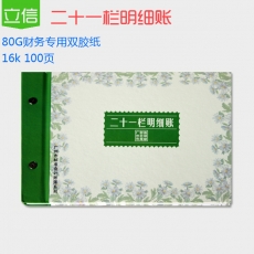 立信 16K广财二十一栏明细账 财务账本，100页