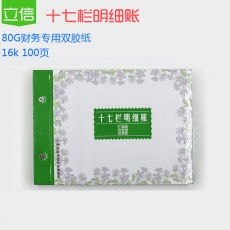 立信 16K广财十七栏明细帐 财务账本，100页