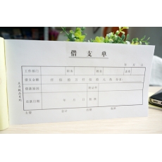 主力牌 48K借支单#0811，30页*20本装