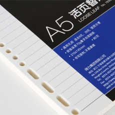 得力(Deli) 活页替芯 A5笔记本替芯 14孔适用得力3151#7938