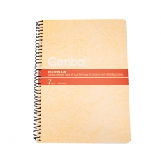 渡边(Gambol) A5，100页螺旋装订本 线