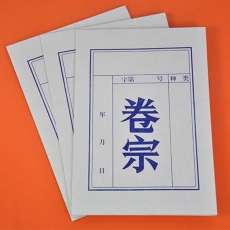 国产 350g白卷宗 白色牛皮卷宗袋 档案袋 A4
