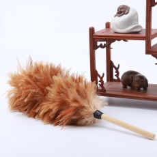 鸡毛掸子短